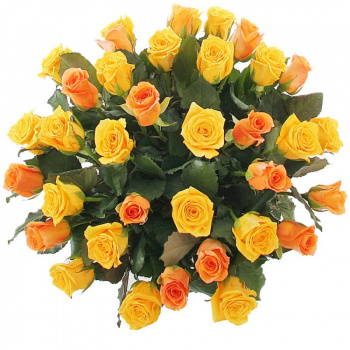 Букет из 31 коралловой и оранжевой розы